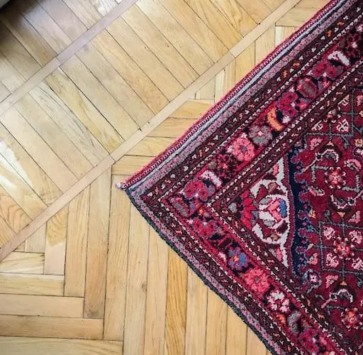 Domus Palatina شقة *